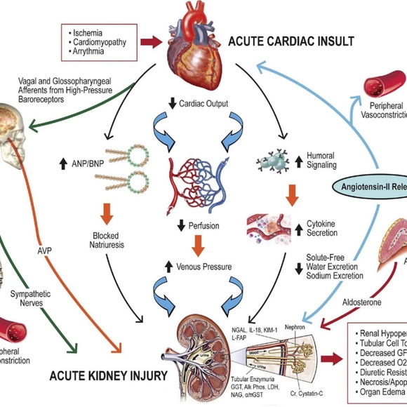 Meet your Posher, Tiffany - Picture 1 of 1